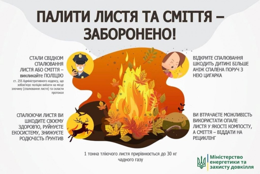 Зображення1