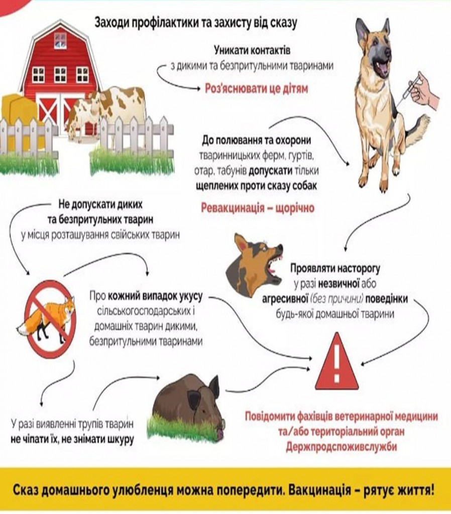Сказ